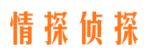 陵县找人公司